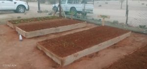 WhatsApp Image 2025-12-04 at 22.58.50_144224cf