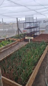 WhatsApp Image 2025-12-04 at 22.58.50_a4a2522f