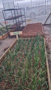 WhatsApp Image 2025-12-04 at 22.58.50_e67f8cdb