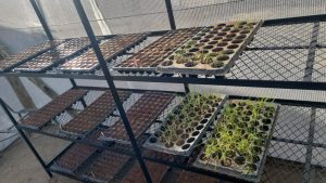 WhatsApp Image 2025-12-04 at 22.58.51_20e5b67e