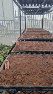 WhatsApp Image 2025-12-04 at 22.58.51_bb9f945f