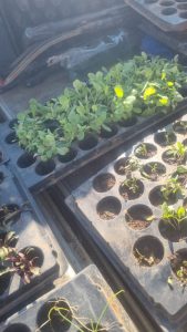 WhatsApp Image 2025-12-04 at 22.58.52_30c17d2f