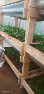 WhatsApp Image 2025-12-04 at 22.58.52_8a034c20