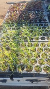 WhatsApp Image 2025-12-04 at 22.58.52_b959ad5c