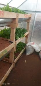 WhatsApp Image 2025-12-04 at 22.58.53_37fd2be4