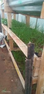 WhatsApp Image 2025-12-04 at 22.58.53_7977739e