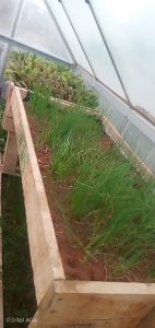 WhatsApp Image 2025-12-04 at 22.58.53_a7b5af72