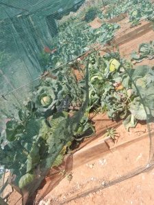 WhatsApp Image 2025-12-04 at 23.04.44_cbf95940