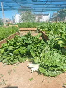 WhatsApp Image 2025-12-04 at 23.04.47_1891fc6f