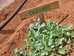 WhatsApp Image 2025-12-04 at 23.06.15_aff5eee7