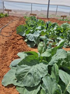 WhatsApp Image 2025-12-04 at 23.06.17_aa95b658