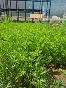 WhatsApp Image 2025-12-04 at 23.09.54_a85b7530