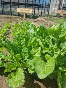 WhatsApp Image 2025-12-04 at 23.09.59_70d406eb