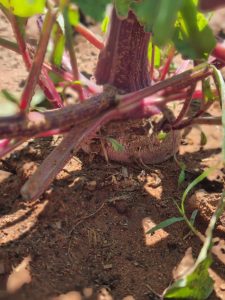 WhatsApp Image 2025-12-04 at 23.10.01_c37548d3