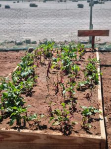 WhatsApp Image 2025-12-04 at 23.10.03_84cb40c9