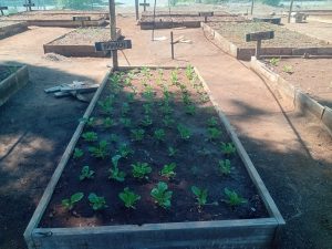 WhatsApp Image 2025-12-04 at 23.12.16_51ed7541