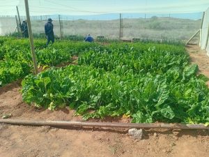 WhatsApp Image 2025-12-04 at 23.12.17_8a395924