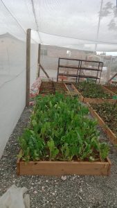 WhatsApp Image 2025-12-04 at 23.12.19_707e7e7c