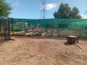 WhatsApp Image 2025-12-04 at 23.14.32_67505bde