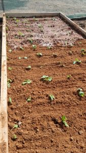 WhatsApp Image 2025-12-04 at 23.14.32_87da9c24