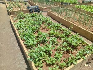 WhatsApp Image 2025-12-04 at 23.14.33_774b7923