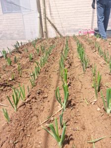 WhatsApp Image 2025-12-04 at 23.14.39_806a895b