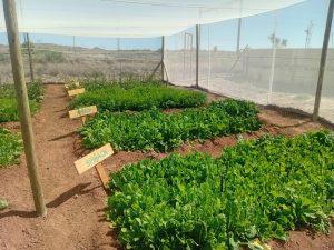 WhatsApp Image 2025-12-04 at 23.18.19_246b487e