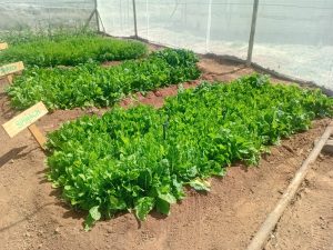 WhatsApp Image 2025-12-04 at 23.18.21_deac6a3e