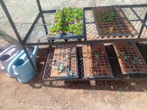 WhatsApp Image 2025-12-04 at 23.18.22_def4b11d