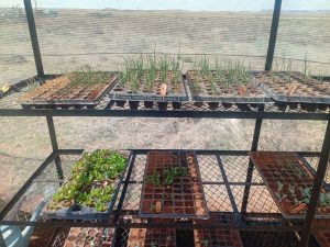 WhatsApp Image 2025-12-04 at 23.18.23_bb300e9a