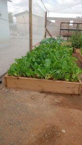 WhatsApp Image 2025-12-04 at 23.18.25_8e57caaf