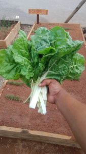 WhatsApp Image 2025-12-04 at 23.18.25_d757caf7