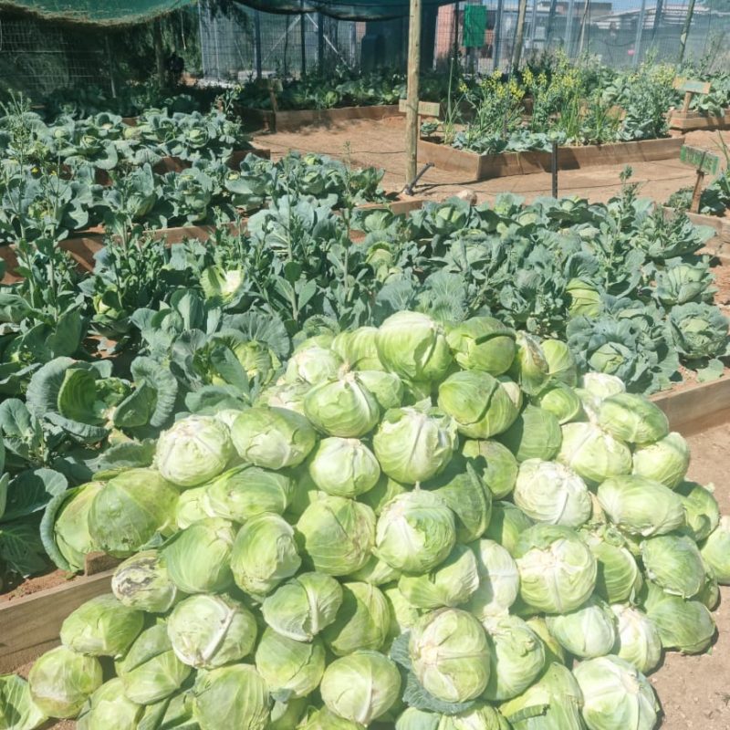 WhatsApp Image 2025-12-04 at 23.04.47_e1f37c67